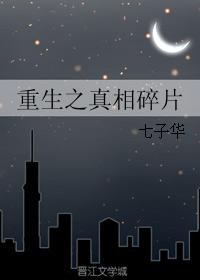 重生之真相碎片