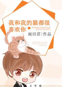 我和我的貓都很喜歡你