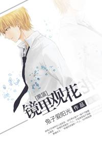 [黑籃]鏡裏觀花