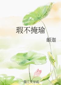瑕不掩瑜