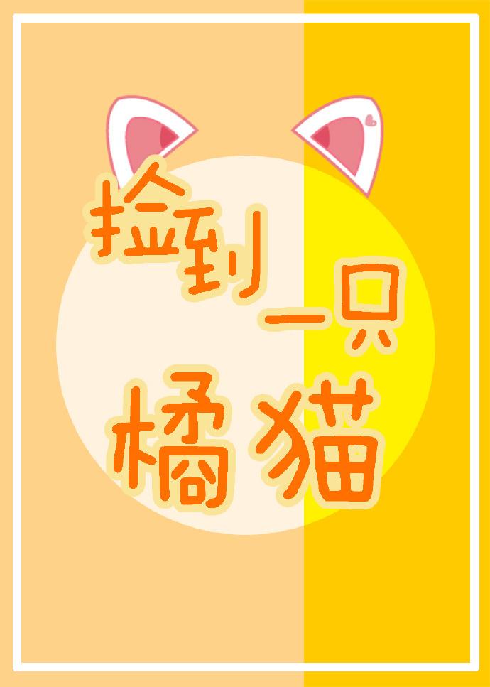 撿到一只橘貓