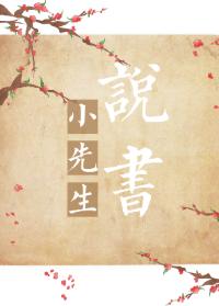 小先生說書