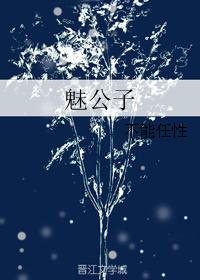 魅公子