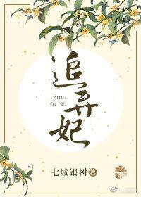 追棄妃