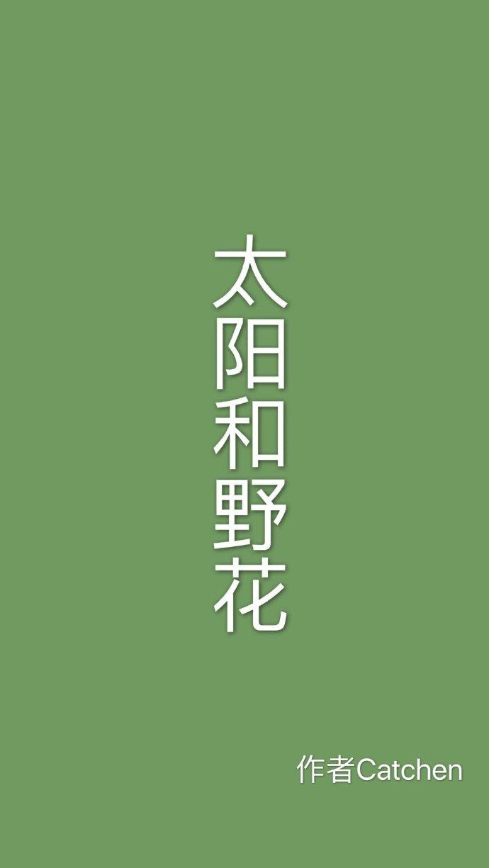 太陽和野花