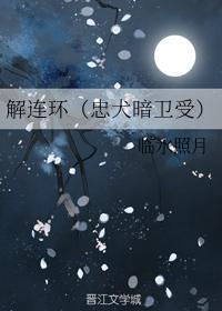解連環（忠犬暗衛受）