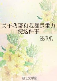 關于我哥和我都是重力使這件事