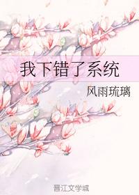 我下錯了系統