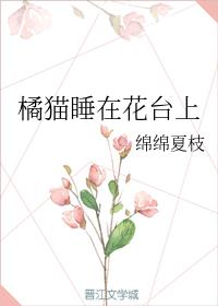 橘貓睡在花臺上