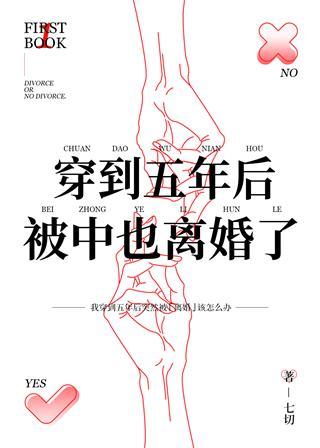 穿到五年後被中也離婚了