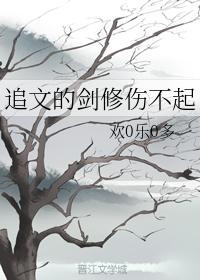 追文的劍修傷不起