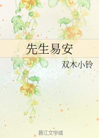 先生易安