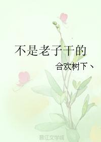 不是老子幹的