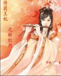 侍寝王妃之醉紅顏