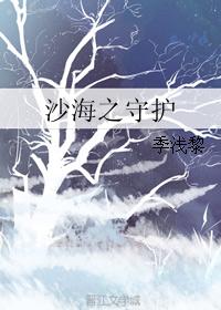 沙海之守護