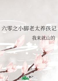 六零之小腳老太養孩記