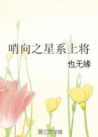 哨向之星系上将