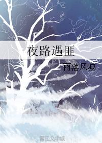 夜路遇匪