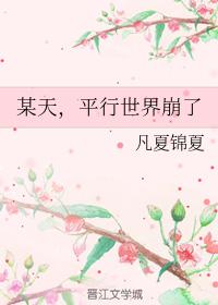 某天，平行世界崩了