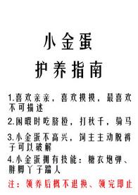 小金蛋護養指南