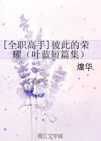 [全職高手]彼此的榮耀（葉藍短篇集）