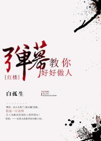 [紅樓]彈幕教你好好做人