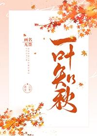 一葉知秋