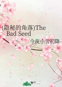(隐秘的角落)The Bad Seed
