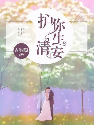 護你一生清安