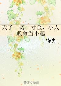 天子一諾一寸金，小人賤命當不起
