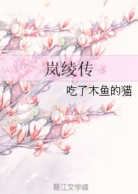 岚绫傳