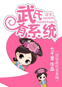 清穿武氏有系統