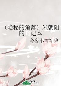 （隐秘的角落）朱朝陽的日記本