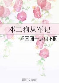 鄧二狗從軍記