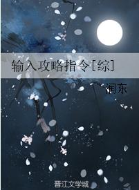 輸入攻略指令[綜]