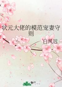 狀元大佬的模範寵妻守則