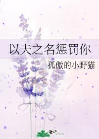 以夫之名懲罰你