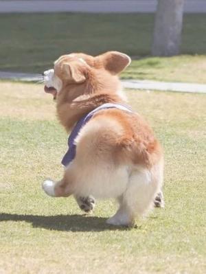有基可乘