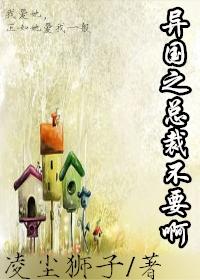 異國之總裁不要啊（gl）