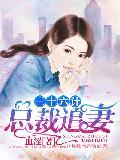 總裁追妻三十六計