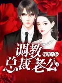 嬌妻入懷：調教總裁老公