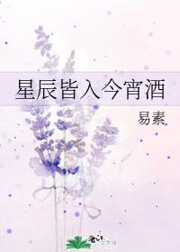 星辰皆入今宵酒
