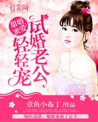 甜婚蜜愛：試婚老公輕輕寵