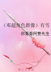 （鄧超角色群像）有雪