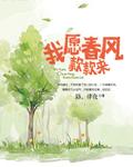 我願春風款款來