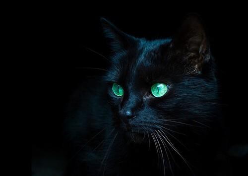 穿越之神魔愛