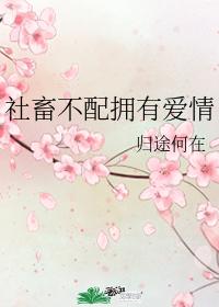 社畜不配擁有愛情