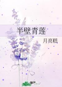 半壁青蓮
