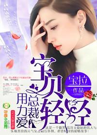 寶貝輕輕：總裁的獨家寵愛