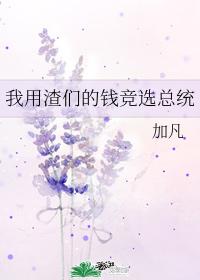 我用渣們的錢競選總統